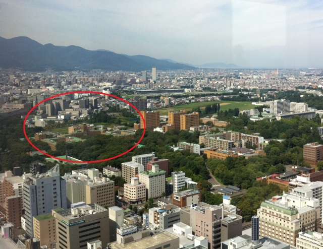 f:id:paffue:20110904211222j:image