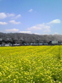 20111015150947