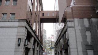 f:id:paffue:20111023172704j:image