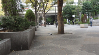f:id:paffue:20111109214506j:image
