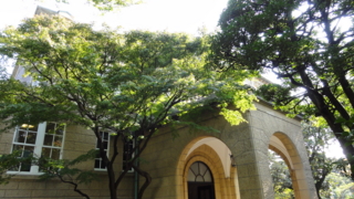 f:id:paffue:20111115195815j:image