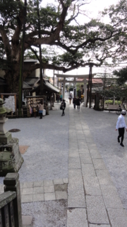 f:id:paffue:20120324193428j:image