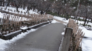 f:id:paffue:20120331223155j:image