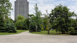 f:id:paffue:20120624160100j:image