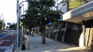 f:id:paffue:20120901175946j:image