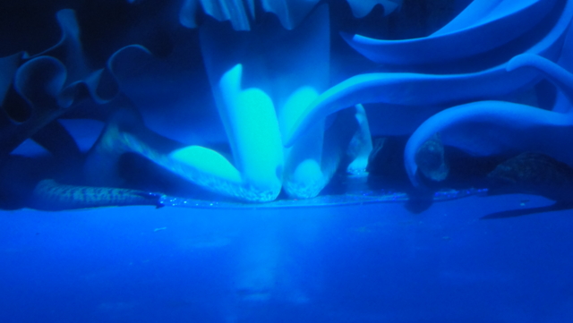 f:id:paffue:20120919200029j:image