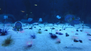 f:id:paffue:20120919202857j:image