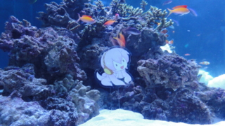 f:id:paffue:20120919202900j:image