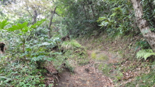 f:id:paffue:20120924224301j:image