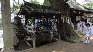 f:id:paffue:20121014151657j:image