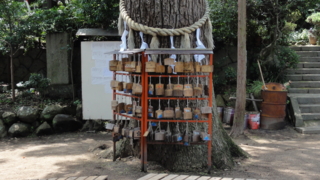 f:id:paffue:20121014151703j:image