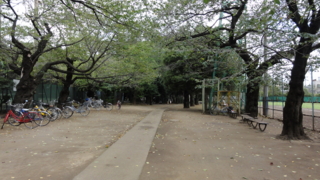f:id:paffue:20121026215544j:image
