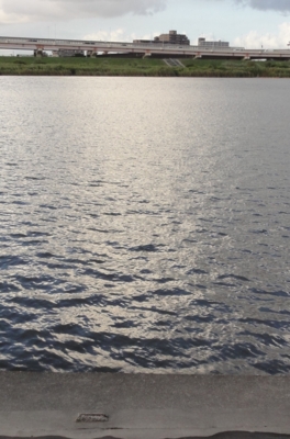 f:id:paffue:20121027114832j:image
