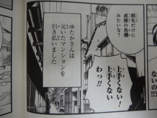 f:id:paffue:20121201222136j:image