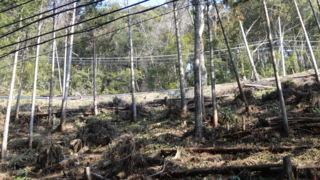 f:id:paffue:20130311205546j:image