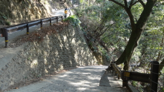 f:id:paffue:20130311205551j:image