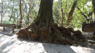 f:id:paffue:20130311205552j:image