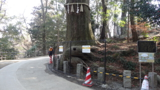 f:id:paffue:20130311224808j:image