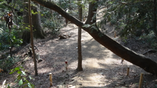 f:id:paffue:20130311224856j:image