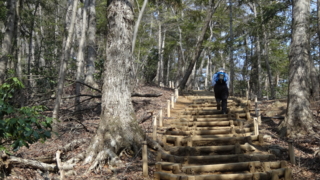 f:id:paffue:20130311224858j:image