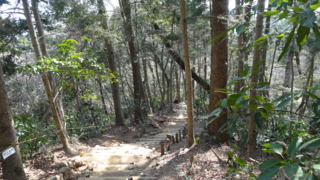 f:id:paffue:20130311224900j:image