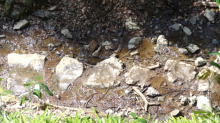 f:id:paffue:20130311224902j:image