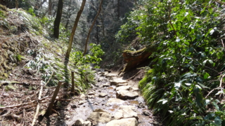 f:id:paffue:20130311224903j:image