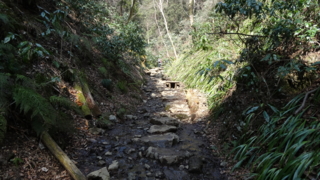 f:id:paffue:20130311224904j:image