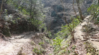 f:id:paffue:20130311224906j:image