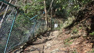 f:id:paffue:20130311224907j:image