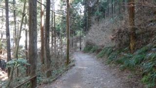 f:id:paffue:20130311224911j:image