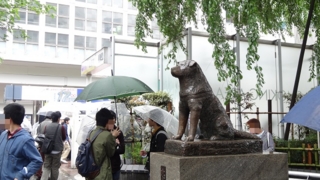 f:id:paffue:20130423213336j:image