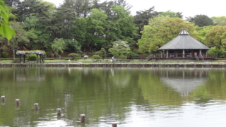 f:id:paffue:20130427113940j:image