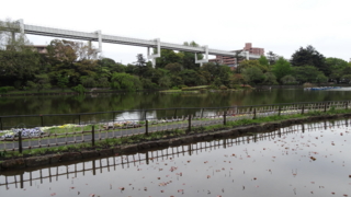 f:id:paffue:20130427115302j:image