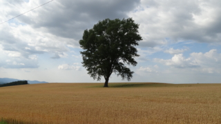 f:id:paffue:20130723223017j:image