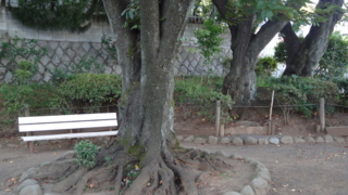 f:id:paffue:20130908113541j:image