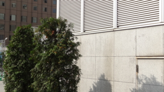 f:id:paffue:20130921095707j:image f:id:paffue:20130921095707j:image