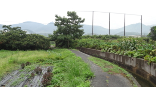 f:id:paffue:20131014105454j:image