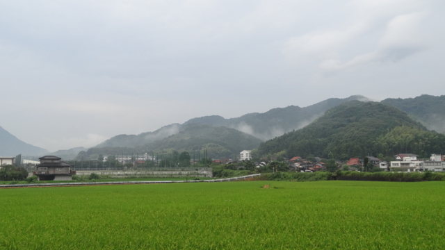 f:id:paffue:20131014105840j:image