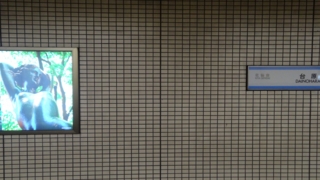 f:id:paffue:20131103165430j:image f:id:paffue:20131103165430j:image