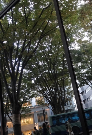 f:id:paffue:20131104210604j:image