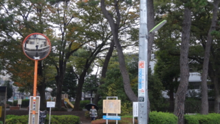 f:id:paffue:20131112220721j:image