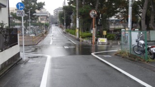 f:id:paffue:20131112220729j:image