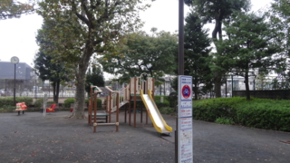 f:id:paffue:20131112220734j:image