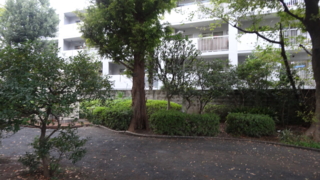f:id:paffue:20131112220737j:image