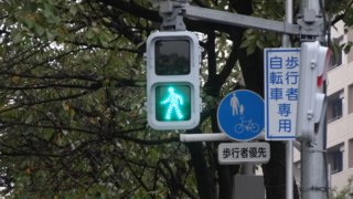 f:id:paffue:20131113185142j:image