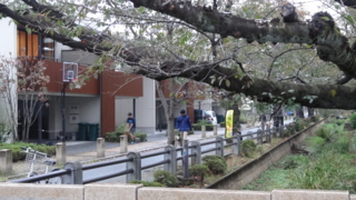 f:id:paffue:20131113185733j:image