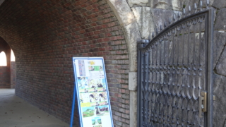 f:id:paffue:20131229182800j:image