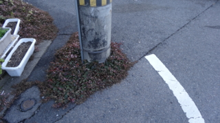 f:id:paffue:20140122192827j:image
