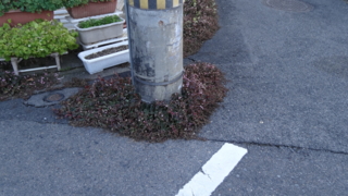 f:id:paffue:20140122192828j:image